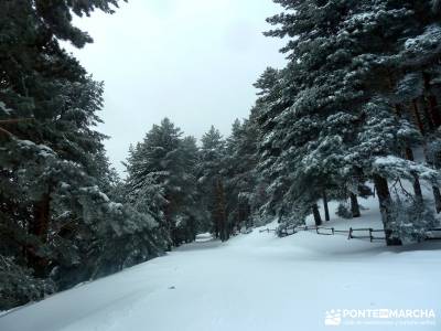 Raquetas de Nieve - Puerto de Cotos; como hacer senderismo; club de montaña de madrid;excursiones t